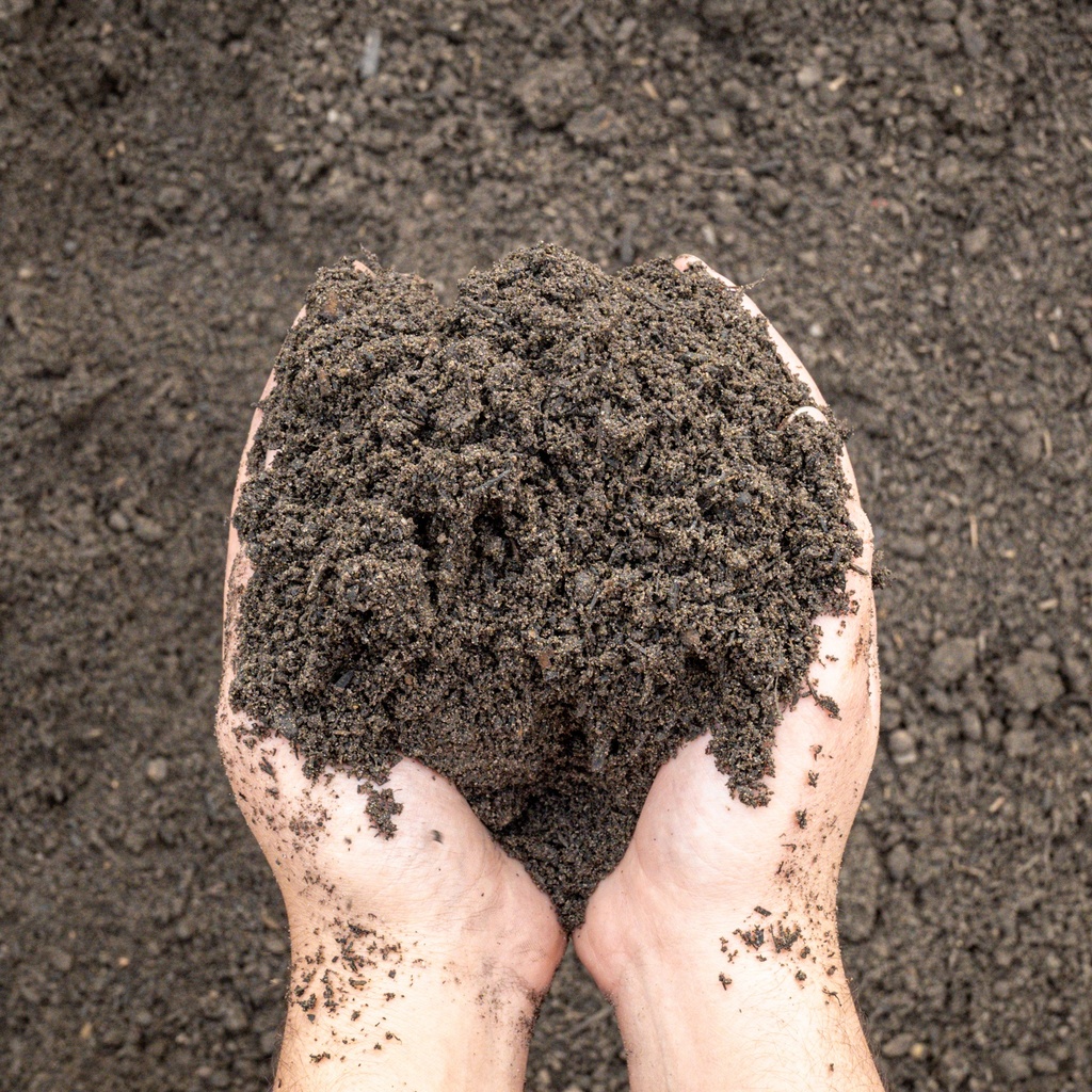 Daisy's Organic Mix Soil